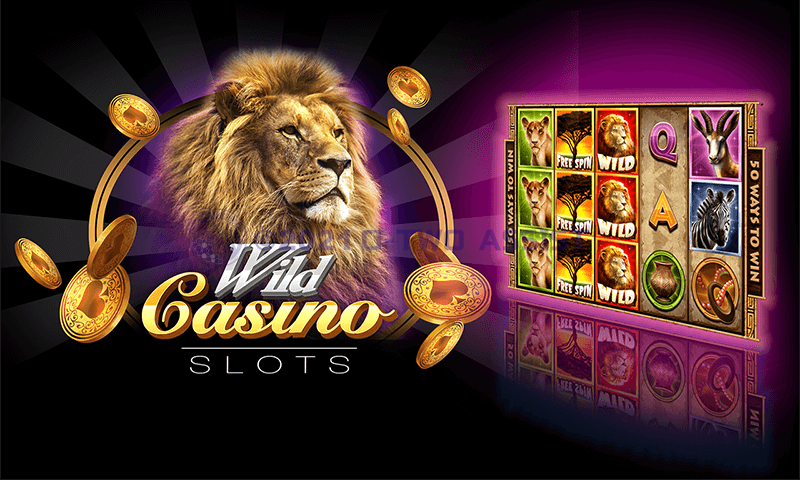 Wild Joker Online Casino: In-Depth Testimonial of Gamings, Benefits, and Customer Experience